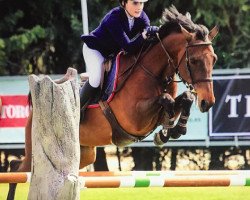 jumper Winde (KWPN (Royal Dutch Sporthorse), 2003, from Numero Uno)