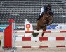 jumper Baloua 3 (Hanoverian, 2014, from Balou du Rouet)