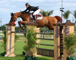 jumper Lucas (KWPN (Royal Dutch Sporthorse), 1999, from Lincoln)