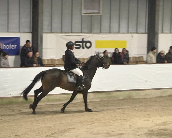 Reitturnier Karlsfeld/Obb. 2021