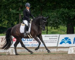 dressage horse Fleur de Lis (Oldenburg, 2017, from Birkhof's Fair Game OLD)