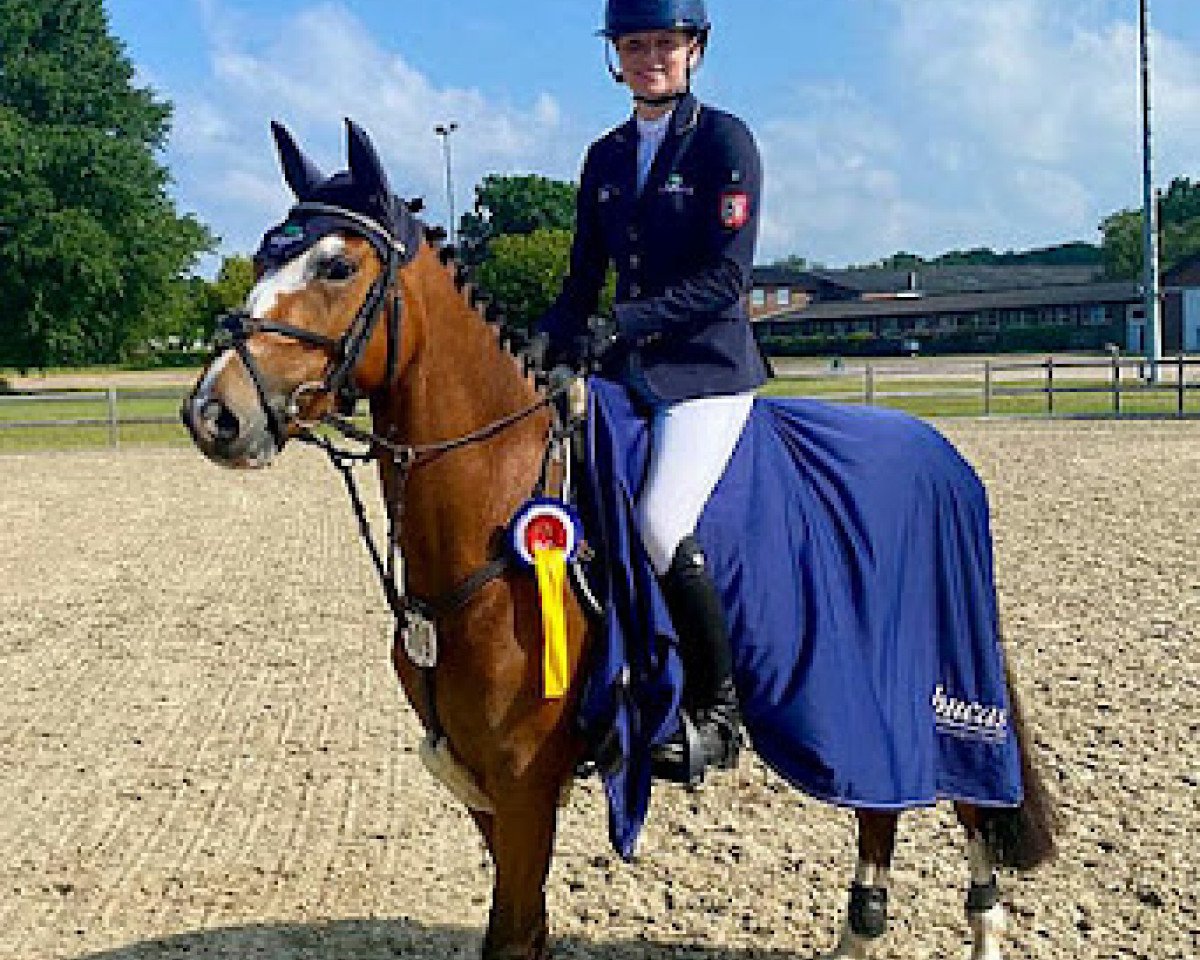 jumper Minutes To Midnight (German Riding Pony, 2015, from The Braes My Mobility)