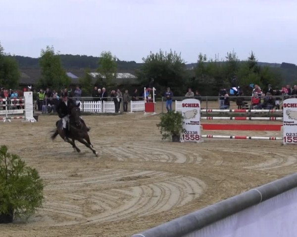 Bühren-Breckerfeld 2013