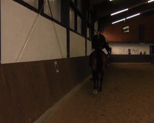 Bühren-Breckerfeld 2013