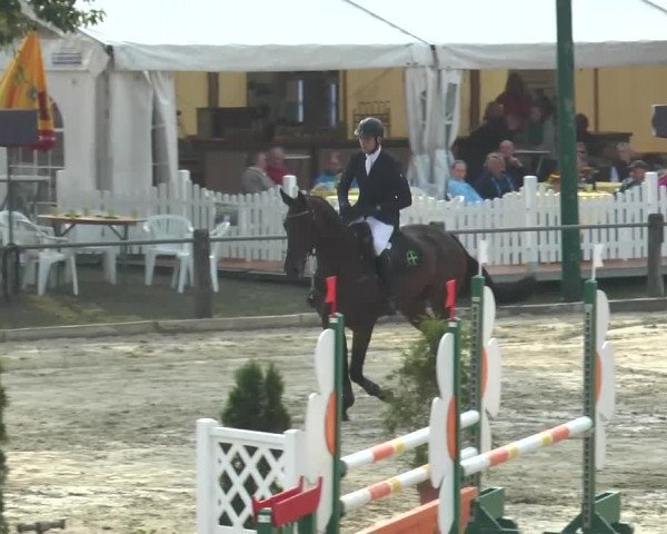 Bad Rothenfelde 2013