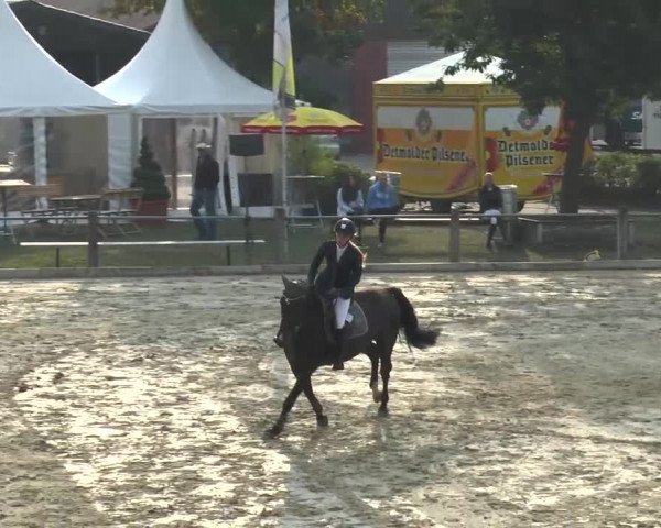 Bad Rothenfelde 2013