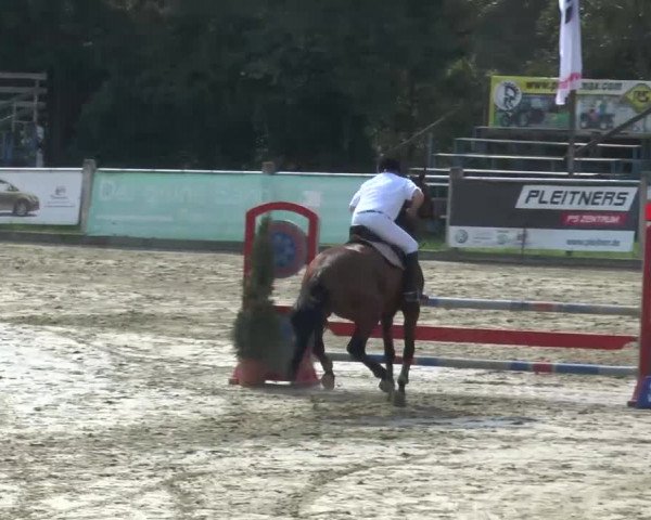 Bad Rothenfelde 2013