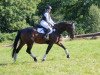 dressage horse Finja 164 (Württemberger, 2013, from Fleiner)