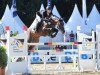 stallion Chaccodello (Oldenburg show jumper, 2009, from Chacco-Blue)