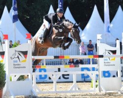 stallion Chaccodello (Oldenburg show jumper, 2009, from Chacco-Blue)