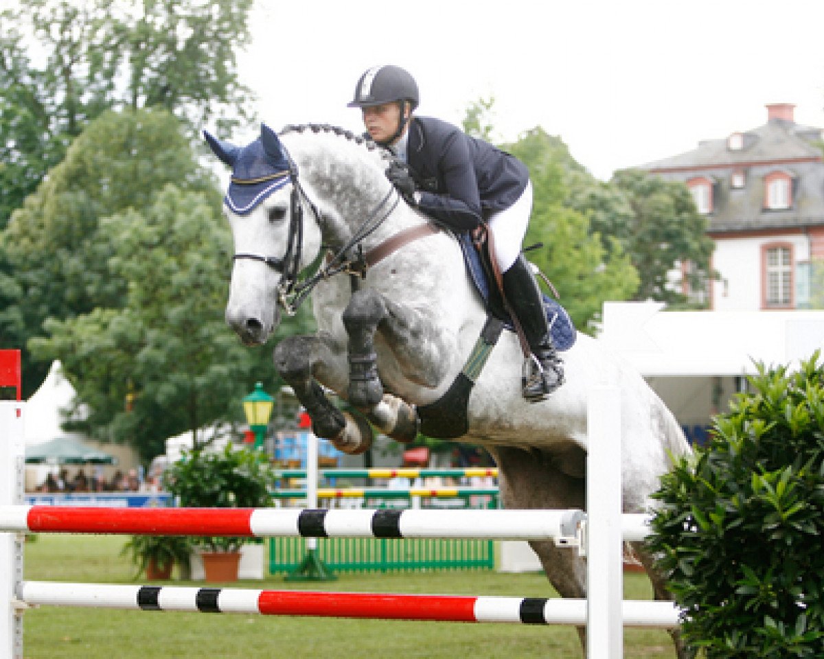 stallion Cartogran (Oldenburg, 2000, from Carthago)