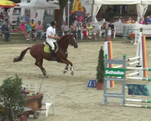 Bad Rothenfelde 2013