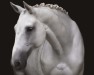 dressage horse Ebersinaa (Swedish Warmblood, 2009, from VDL Cardento 933)
