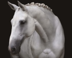 dressage horse Ebersinaa (Swedish Warmblood, 2009, from VDL Cardento 933)