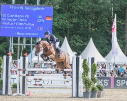 jumper Casallbertin PS (Oldenburg show jumper, 2015, from Casallco)