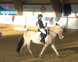 dressage horse Linus (Fjord Horse, 2006, from Lenngard)