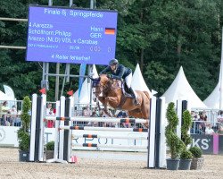 jumper Aarezza (Hanoverian, 2015, from Arezzo VDL)