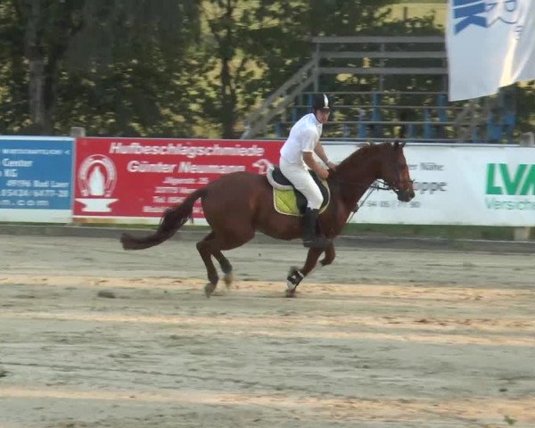 Bad Rothenfelde 2013