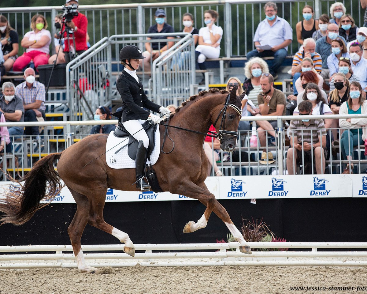 dressage horse Le Bonheur 6 (Hanoverian, 2018, from Livaldon)