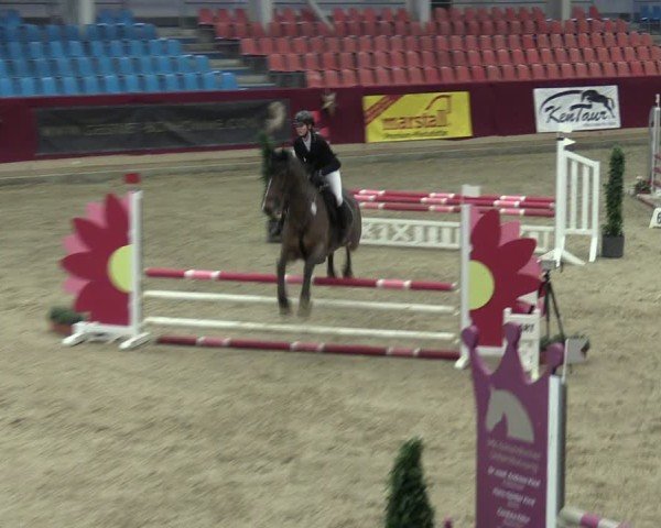 Reitturnier Neustadt/Dosse - Graf von Lindenau-Halle 2024