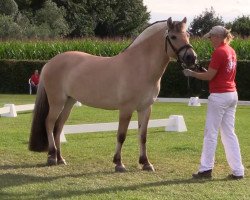 dressage horse Soleni Baroness (Fjord Horse, 2013, from Ricardo Baron)