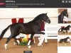 stallion Skyfall (German Sport Horse, 2018, from Secret)