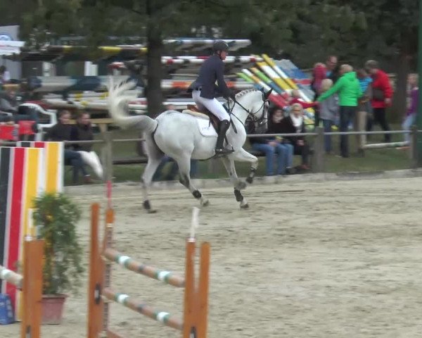 Bad Rothenfelde 2013