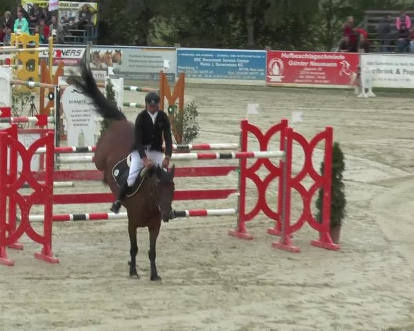 Bad Rothenfelde 2013