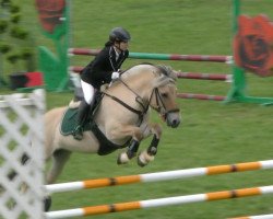 jumper Castor Von Der Berender Heide (Fjord Horse, 2007, from Østerskov's Cavan)