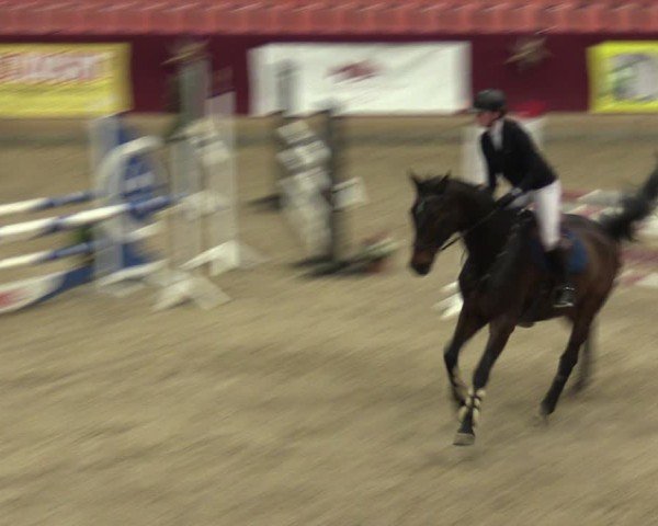 Reitturnier Neustadt/Dosse - Graf von Lindenau-Halle 2024