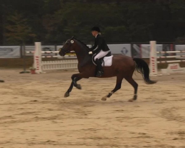 Meinerzhagen 2013