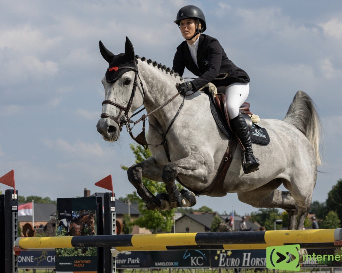 jumper Katania (KWPN (Royal Dutch Sporthorse), 2015, from Mylord Carthago)