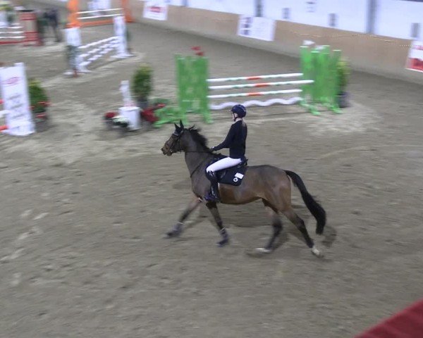 Reitturnier Borgholzhausen 2024