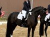 dressage horse Bellezza SB (Hanoverian, 2016, from Bon Coeur)