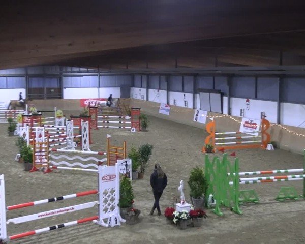 Reitturnier Borgholzhausen 2024