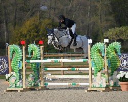 Springpferd Rushmore (Belgisches Warmblut, 2017, von Diktator van de Boslandhoeve)