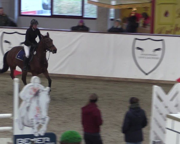 Reitturnier Prussendorf 2024