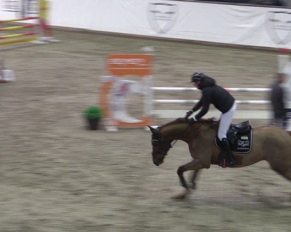 Reitturnier Prussendorf 2024