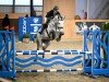 jumper Chelesta (Bulgarian Warmblood, 2018, from Chellentano)