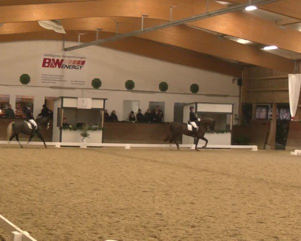 Reitturnier Coesfeld/Lette 2024