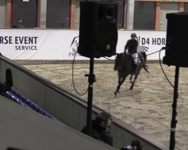 Reitturnier Prussendorf 2024