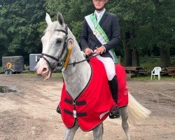 jumper Goodgraf (Irish Sport Horse, 2015, from Goodluck VDL)