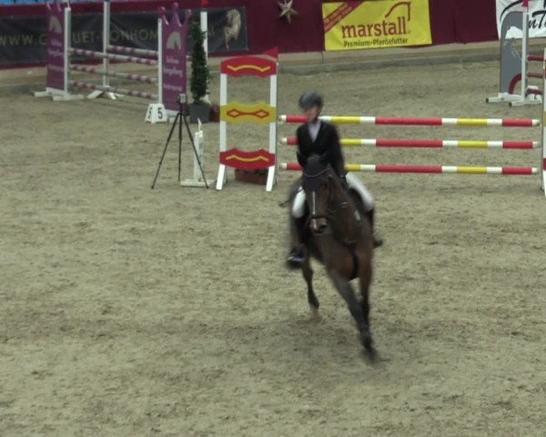 Reitturnier Neustadt/Dosse - Graf von Lindenau-Halle 2024