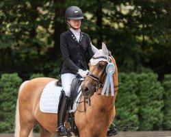 dressage horse Pittu (German Riding Pony, 1999, from Pur)