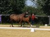 dressage horse Hengst von Zauberlehrling PS / Latouro (Westphalian, 2021, from Zauberlehrling PS OLD)