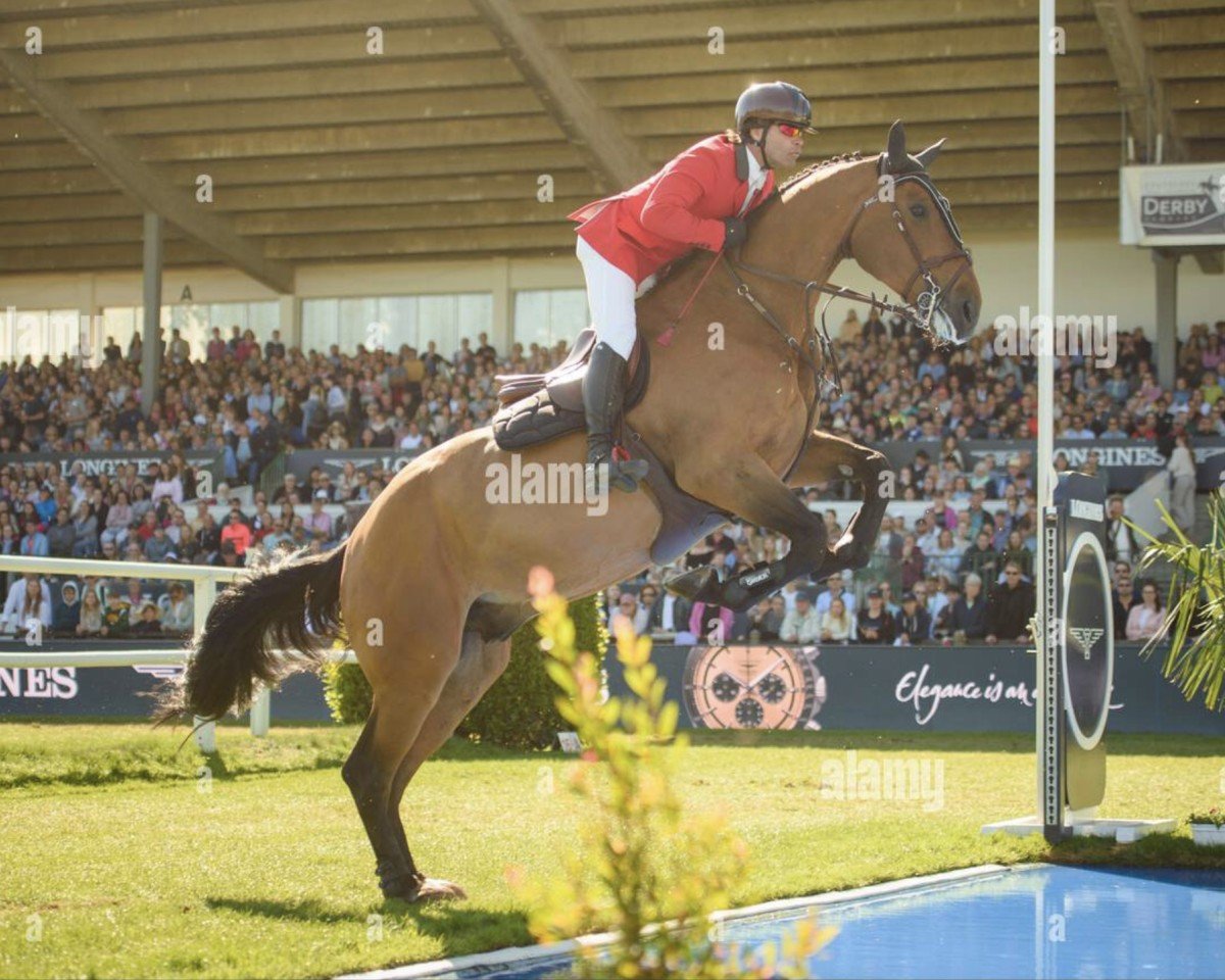 jumper Juan van't Arkelhof (Belgian Warmblood, 2009, from Diamant de Semilly)