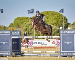 jumper Kandy (KWPN (Royal Dutch Sporthorse), 2015, from Tangelo van de Zuuthoeve)