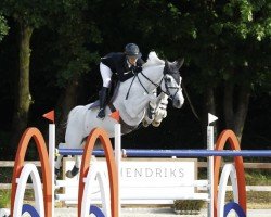 jumper Hannibal (KWPN (Royal Dutch Sporthorse), 2012, from Emerald van 't Ruytershof)