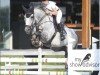 jumper Corsica de Greenbay Z (Zangersheide riding horse, 2012, from Calido I)