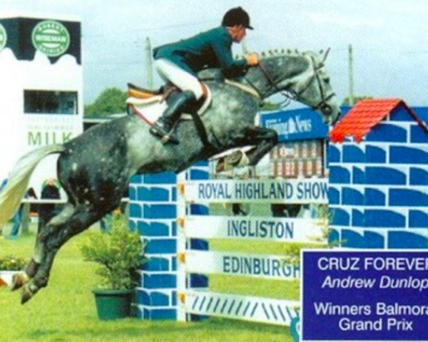 stallion Cruz Forever (Irish Sport Horse, 1992, from Cruising)
